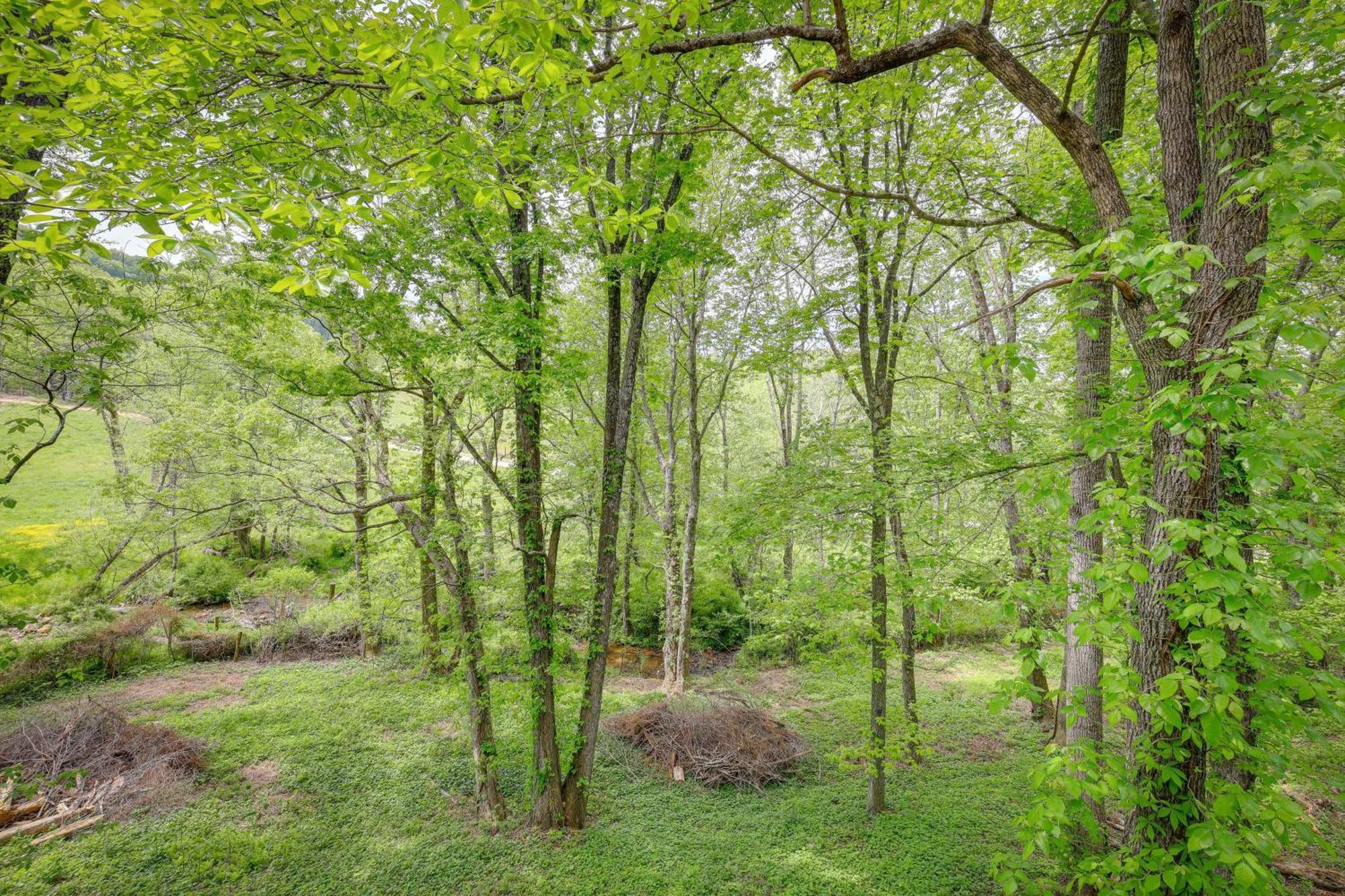 Quaint Blue Ridge Cabin Rental With On-Site Stream! Sparta المظهر الخارجي الصورة
